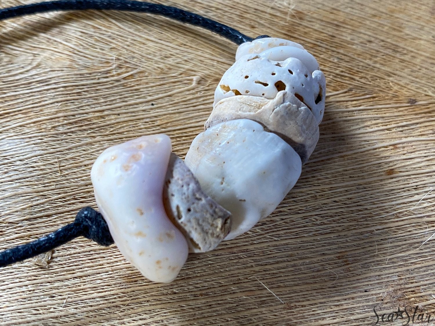 Weathered and Ocean Tumbled Puka Shell Necklace (#9593) | seastar-9598.jpg