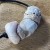Weathered and Ocean Tumbled Puka Shell Necklace (#9593) | seastar-9598.jpg